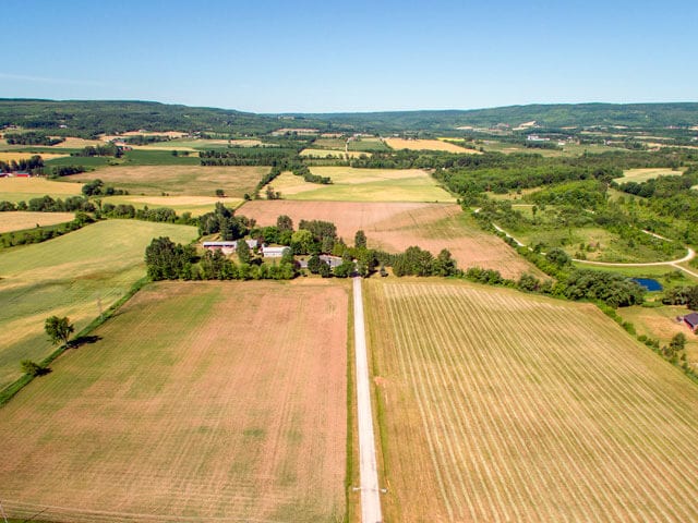 Clearview Farm